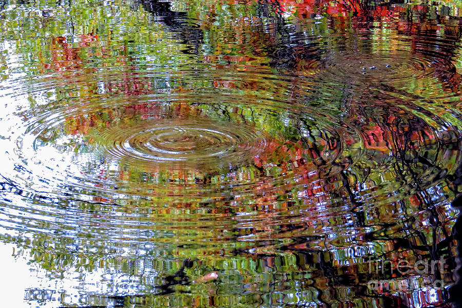 Tree Photograph - Autumn Kaleidoscope by Kimberly Nyce