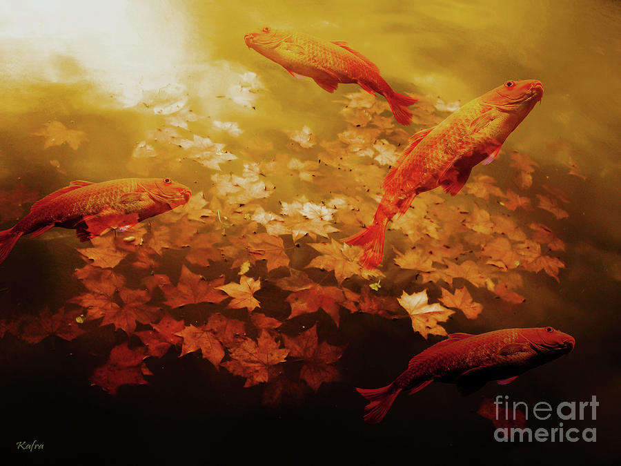 Fish Mixed Media - Autumn Koi Pond by KaFra Art