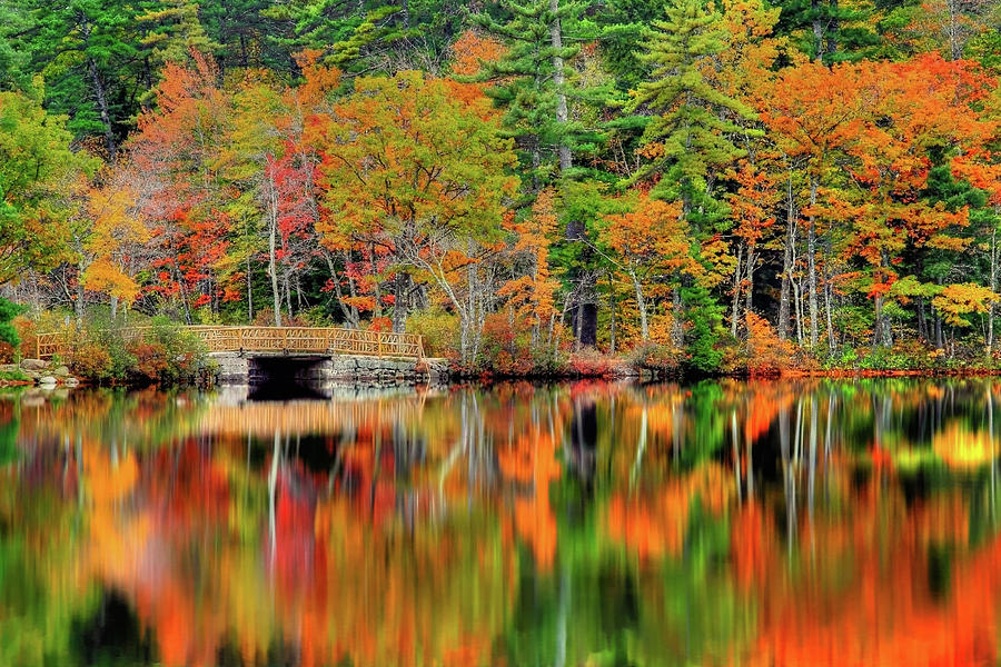 Autumn Lake Chocorua Photograph