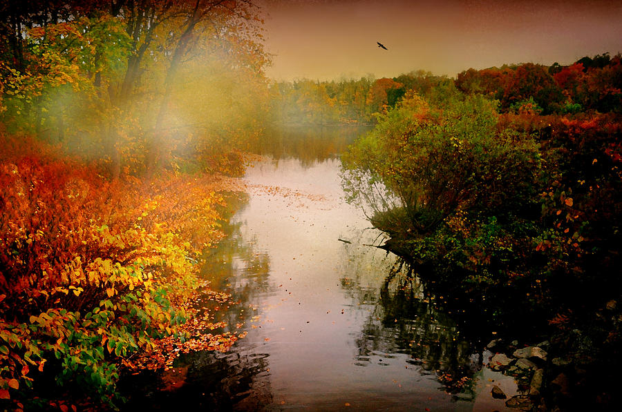 Autumn Lake Photograph by Diana Angstadt