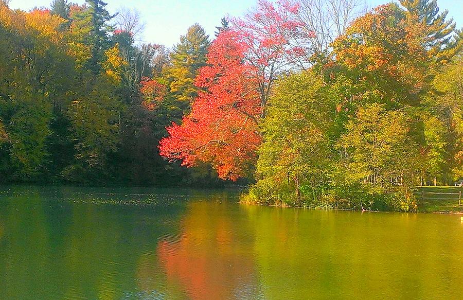 Autumn Lake Fuller Photograph by Paul Kercher