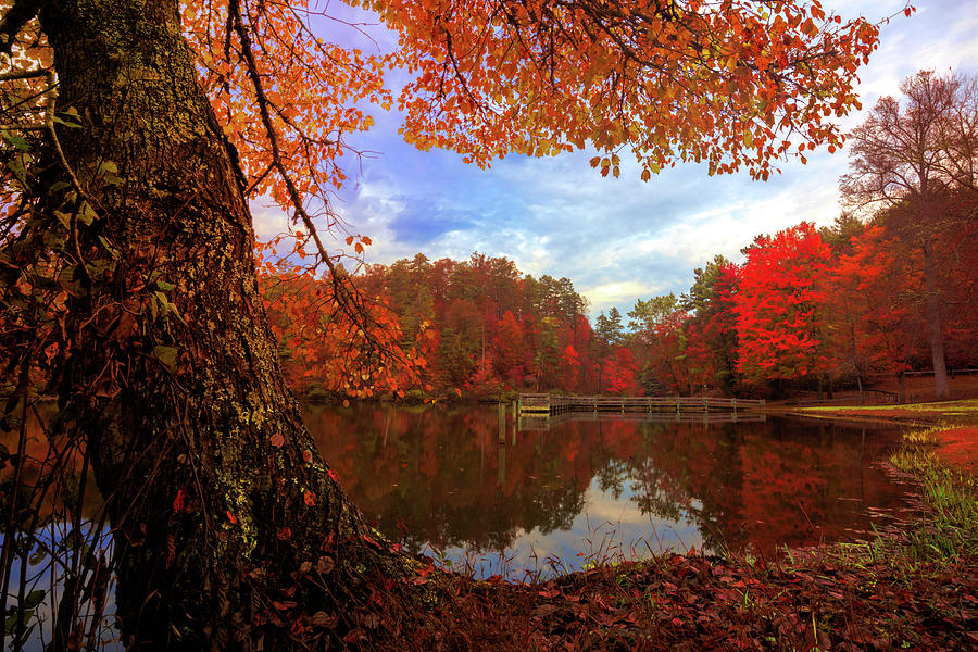 Autumn Lake in Deep Color Photograph by Debra and Dave Vanderlaan