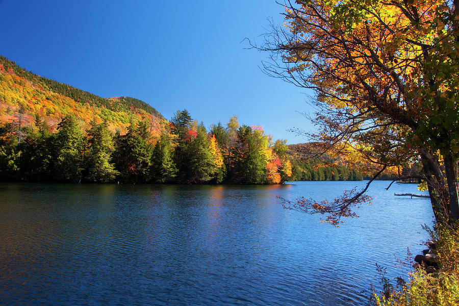 Fall Photograph - Autumn Lake in Vermont  by Joann Vitali