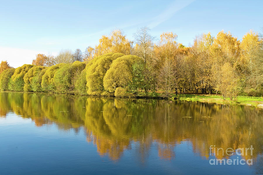 Autumn lake Photograph by Irina Afonskaya