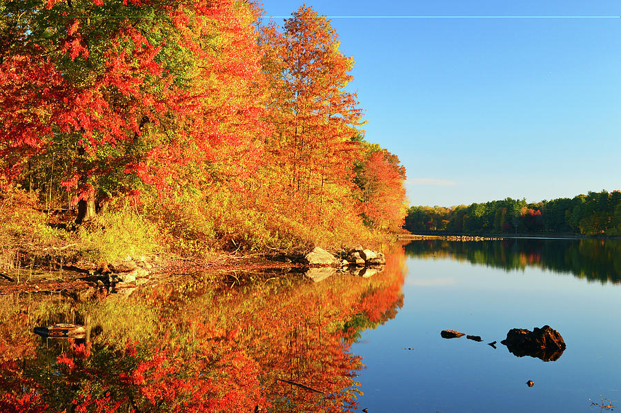 Autumn Lake Photograph by James Kirkikis