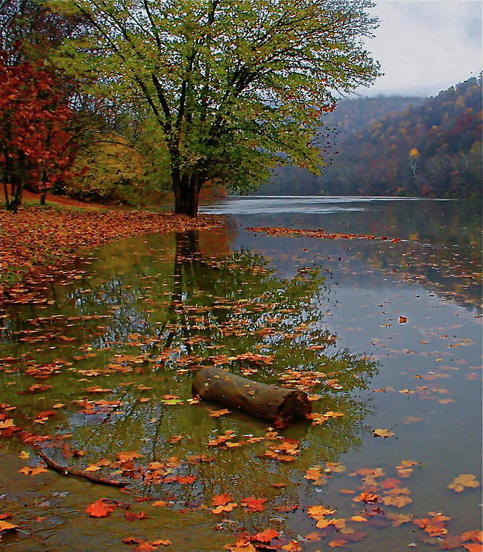Autumn Lake Photograph by Mark Dottle