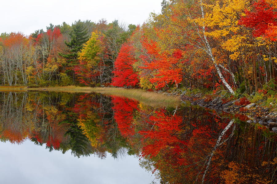 Autumn Lake, Nova Scotia Photograph by Gary Corbett