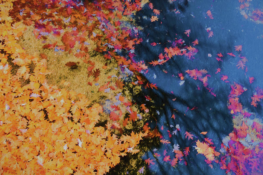 Autumn Lake Pallette Photograph by Tom Singleton