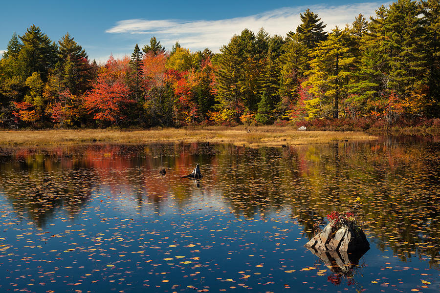 Autumn Lake Reflections Photograph by Irwin Barrett