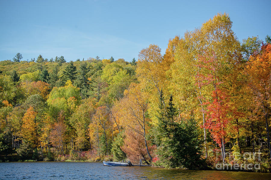 Autumn Lake Scene Photograph by Cheryl Baxter