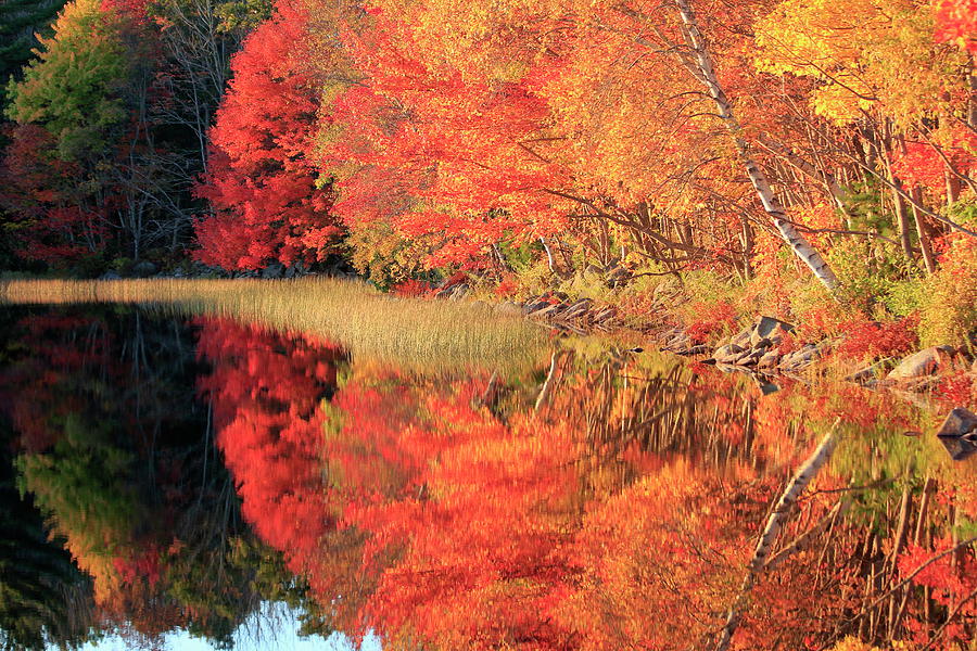Autumn Lake Scenery Photograph by Gary Corbett