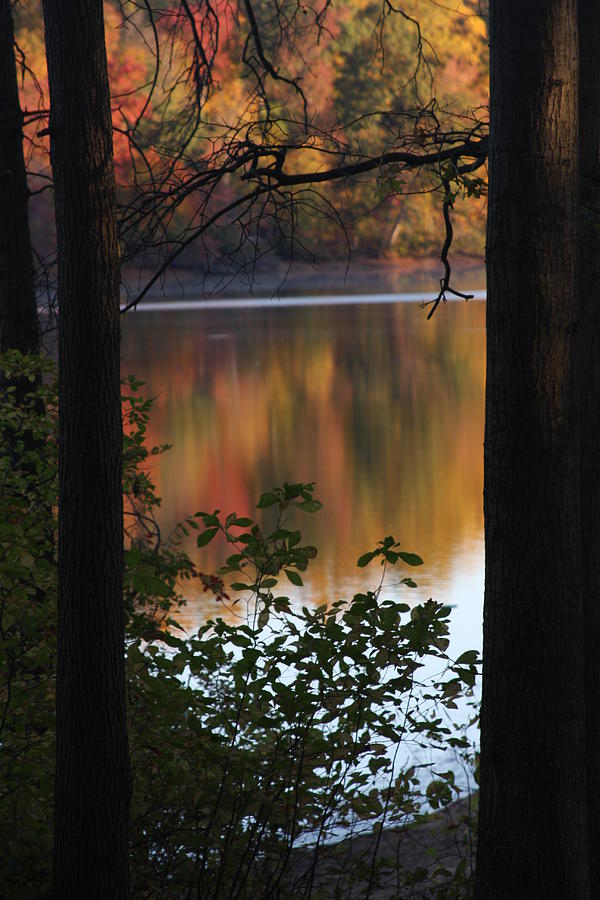 Autumn Lake Photograph by Vadim Levin