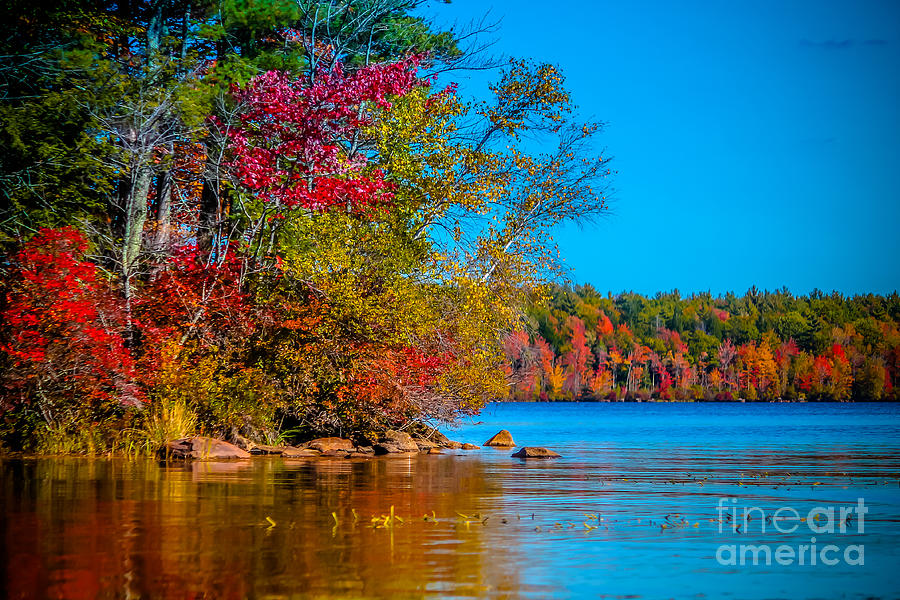 Autumn lake view 3 Photograph by Claudia M Photography