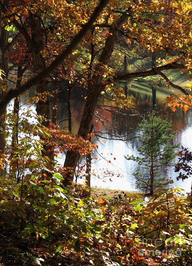 Autumn Lake with oil painting effect Digital Art by William Kuta