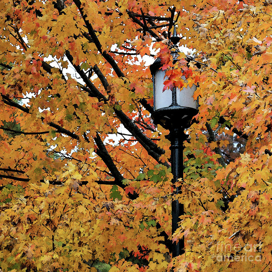 Autumn Lamppost III Photograph by Mary Haber