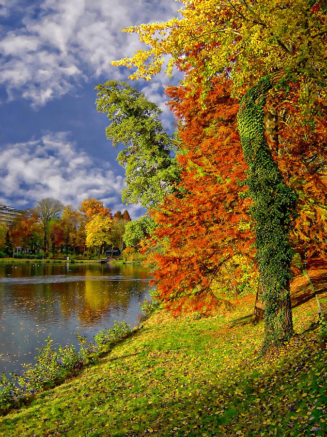 Autumn Landscape Photograph by Anthony Dezenzio