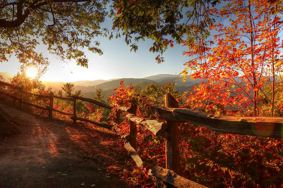 Autumn Landscape from Cataloochee in the Great Smoky Mountains National Park Photograph by Carol Montoya