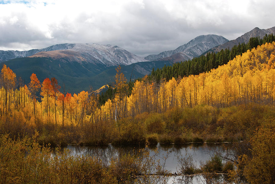 Autumn Landscape from Southern Slopes of Mount Elbert Photograph by Cascade Colors