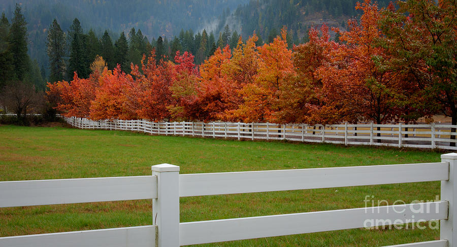 Autumn Landscape Photograph by Idaho Scenic Images Linda Lantzy