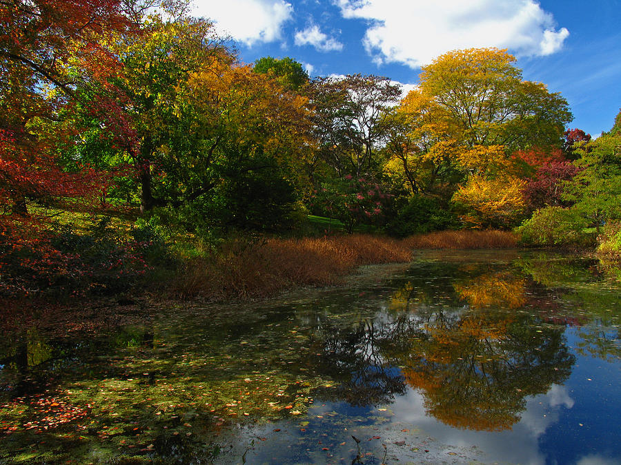 Autumn Landscape Photograph by Juergen Roth
