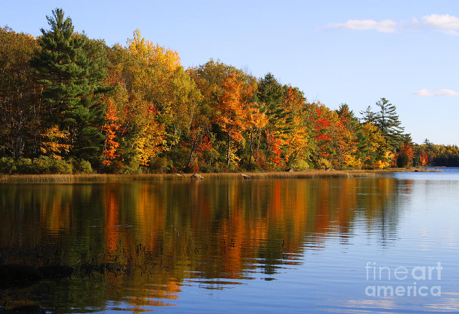 Fall Photograph - Autumn Landscape  by Katie W