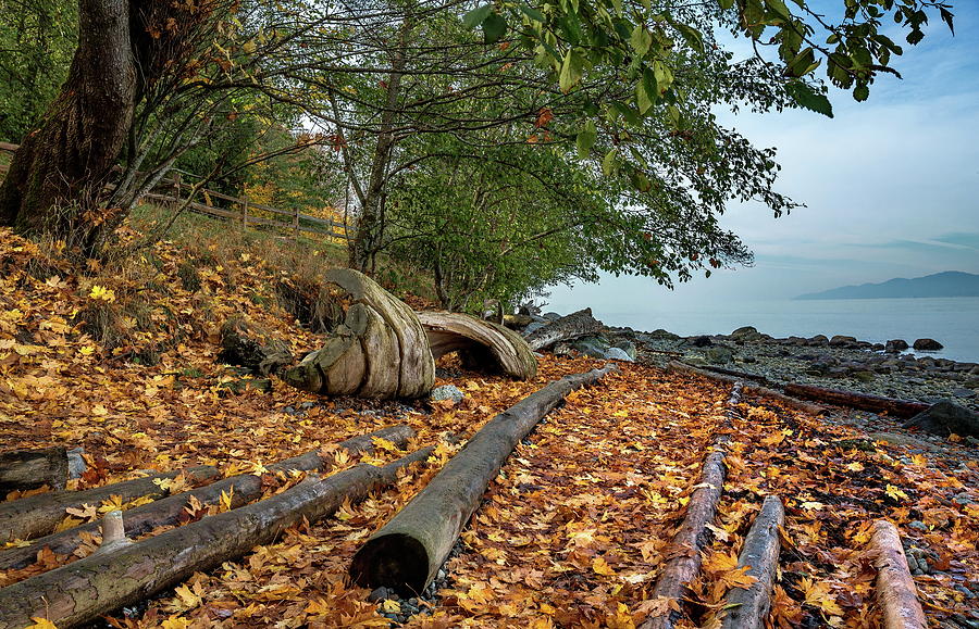 Autumn landscape on a wild beach Photograph by Alex Lyubar