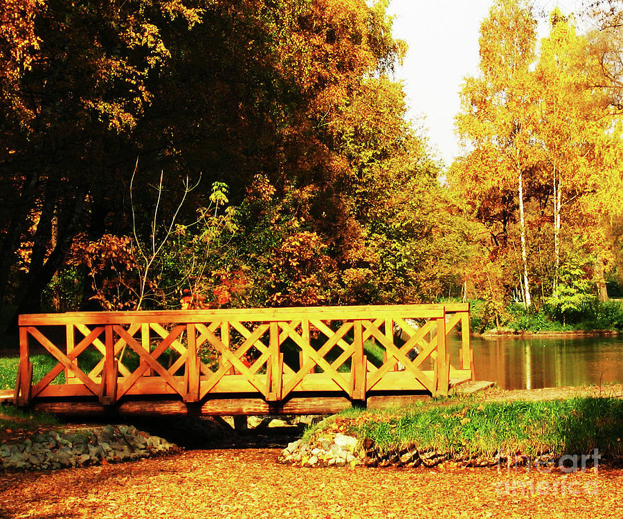 Autumn landscape with bridge Photograph by Irina Afonskaya
