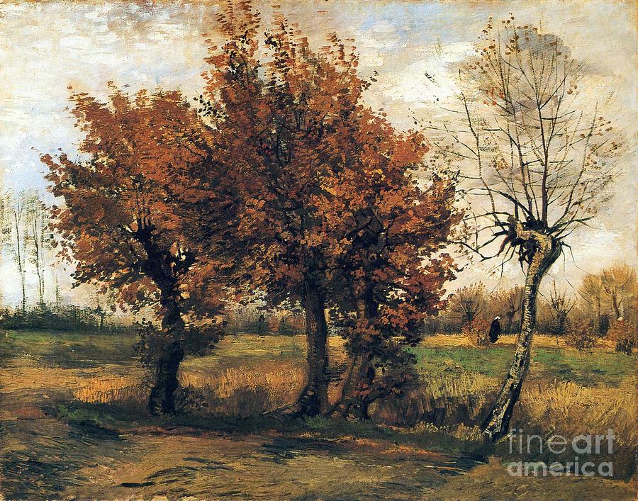 Autumn Landscape with Four Trees Painting by MotionAge Designs