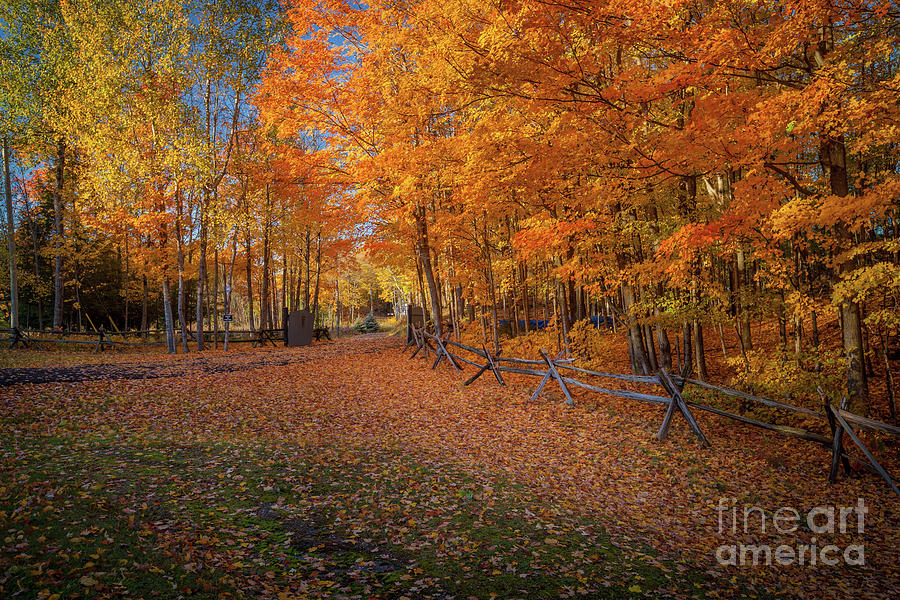 Autumn Lane Photograph by Roger Monahan
