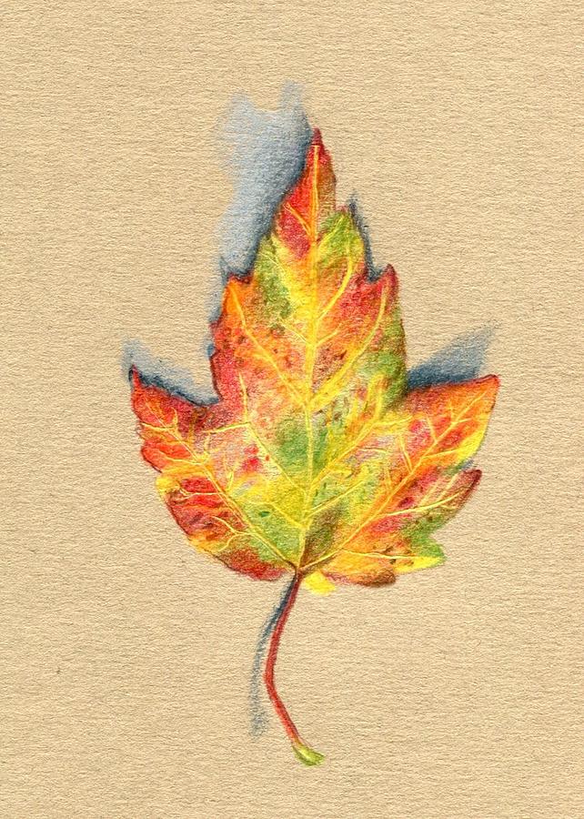 Autumn Leaf Drawing by Heather Mitchell