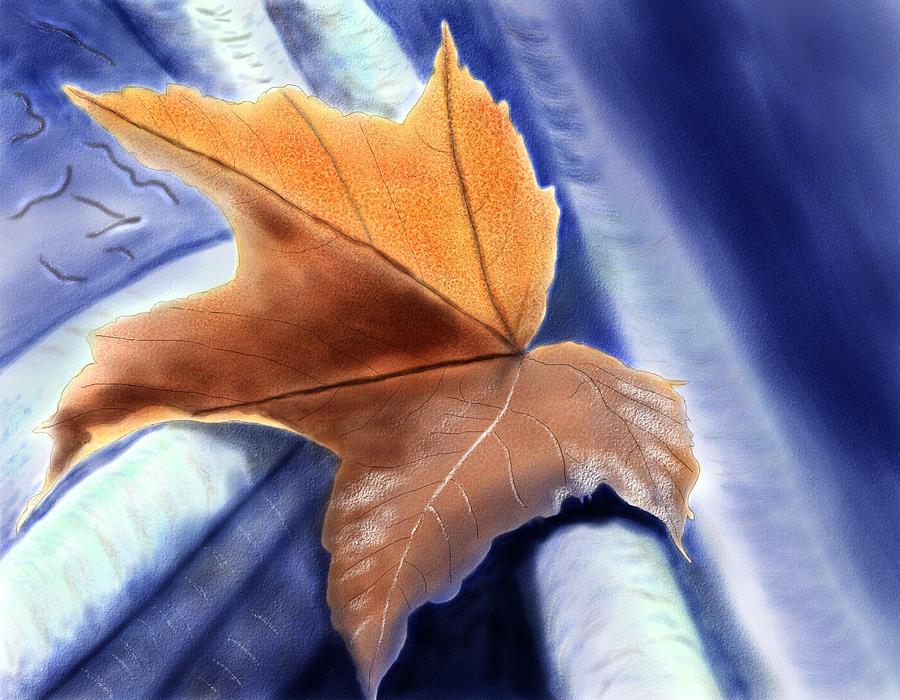 Autumn Leaf Painting by John Shioli