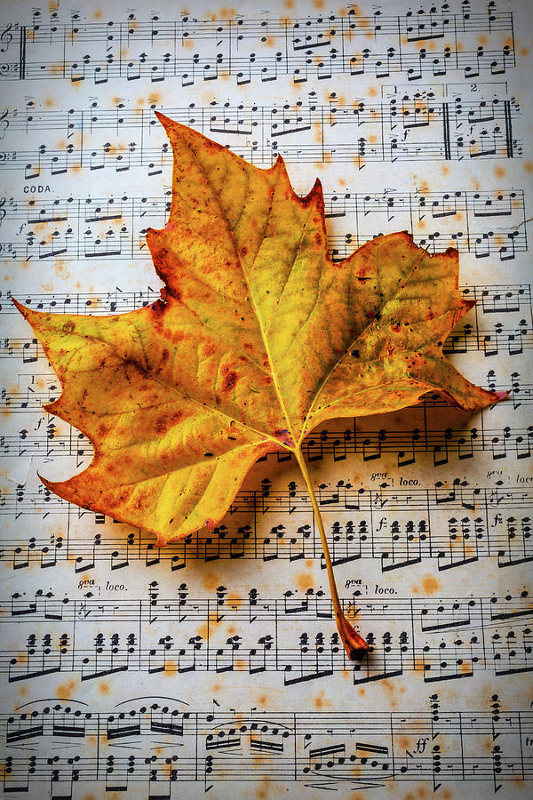 Autumn Leaf On Sheet Music Photograph by Garry Gay