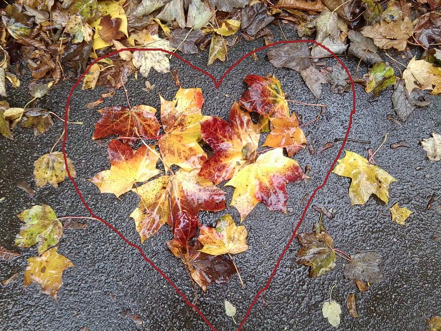 Autumn Leaf Photo 815 with Heart drawn in Photograph by Julia Woodman