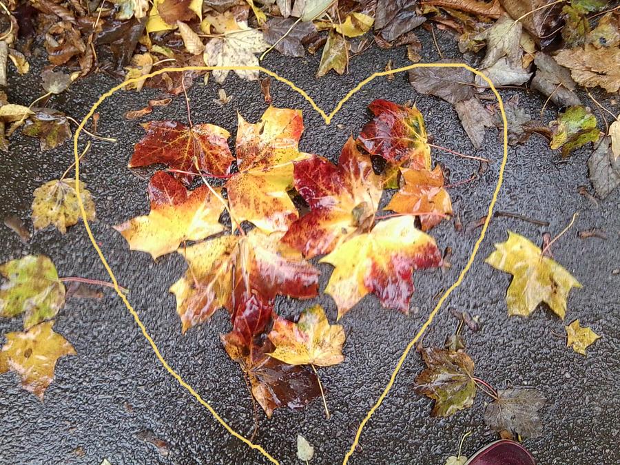 Autumn Leaf Photo 816 with Heart drawn in Photograph by Julia Woodman