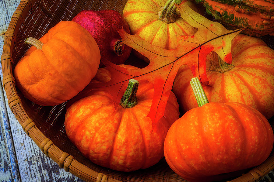 Pumpkin Photograph - Autumn Leaf With Pumpkins by Garry Gay