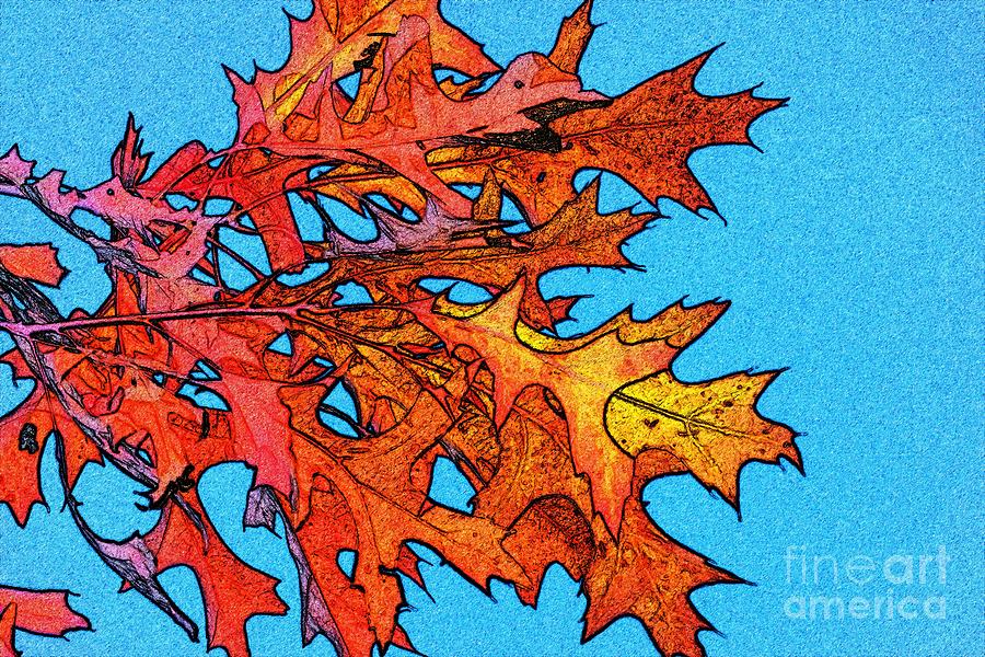 Autumn Leaves 14 Photograph by Jean Bernard Roussilhe