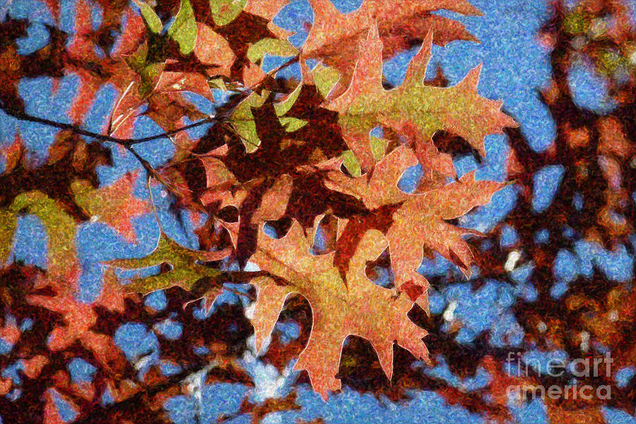 Autumn Leaves 17 - Variation  1 Photograph by Jean Bernard Roussilhe
