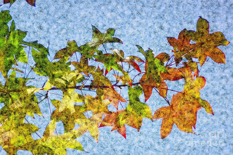 Autumn Leaves 2 Photograph by Jean Bernard Roussilhe