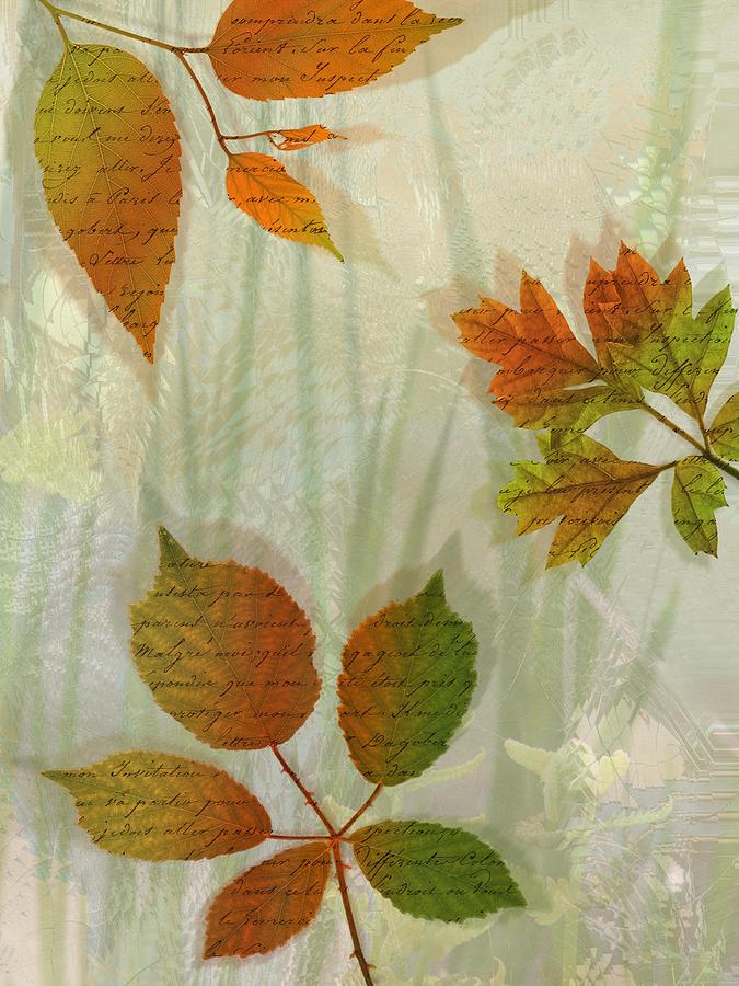 Autumn Leaves-2 Digital Art by Nina Bradica