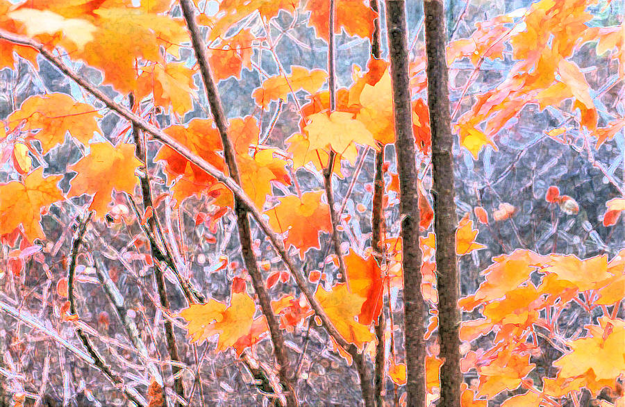 Autumn Leaves 2 PDAE Digital Art by Lyle Crump