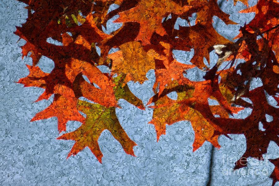 Autumn Leaves 20 Digital Art by Jean Bernard Roussilhe