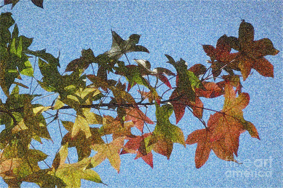 Autumn Leaves 3 Photograph by Jean Bernard Roussilhe