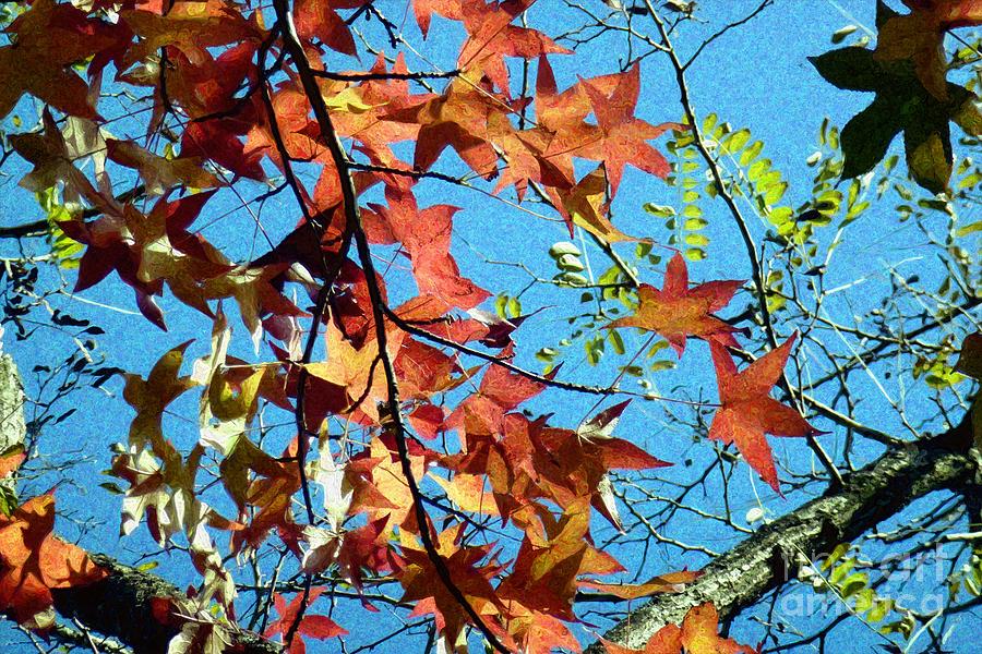 Autumn Leaves 4 Photograph by Jean Bernard Roussilhe