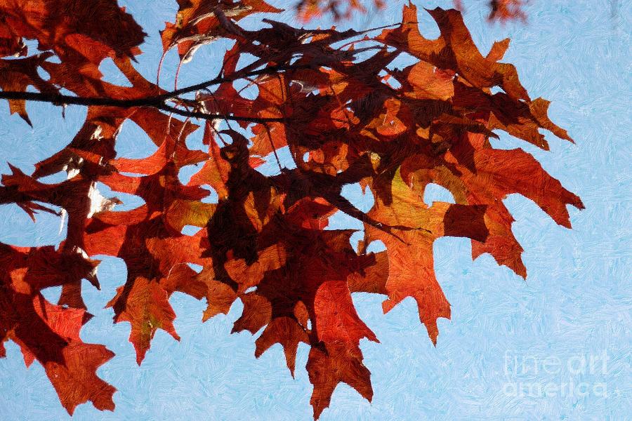 Autumn Leaves 8 Photograph by Jean Bernard Roussilhe