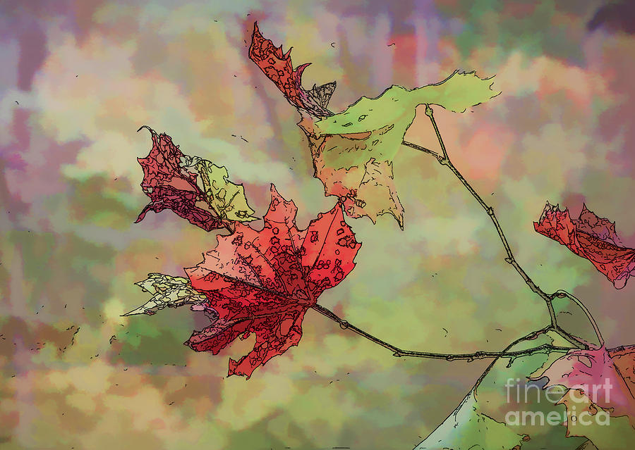 Autumn Leaves - Abstract Art Photograph by Kerri Farley