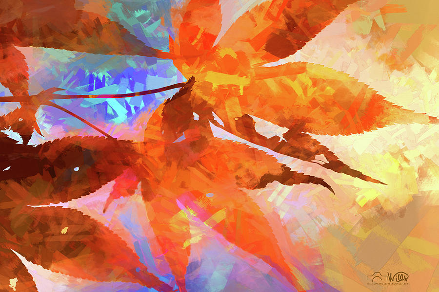 Autumn Leaves Abstract Digital Art by Barry Wills