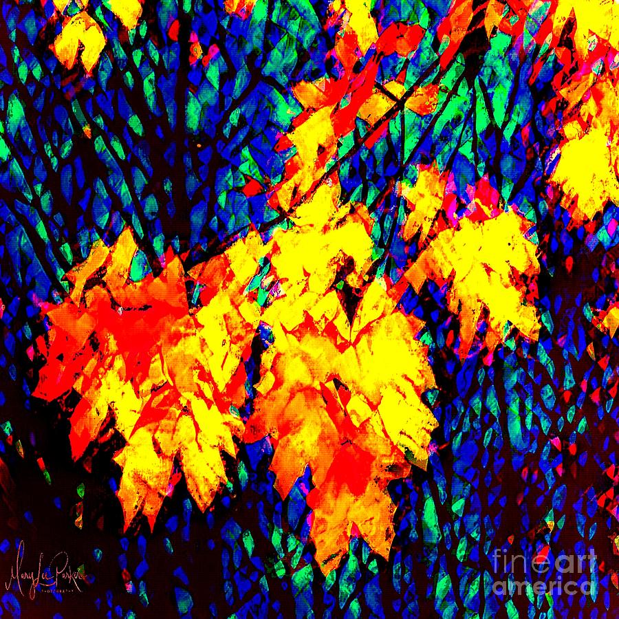 Autumn leaves  abstract  Digital Art by MaryLee Parker
