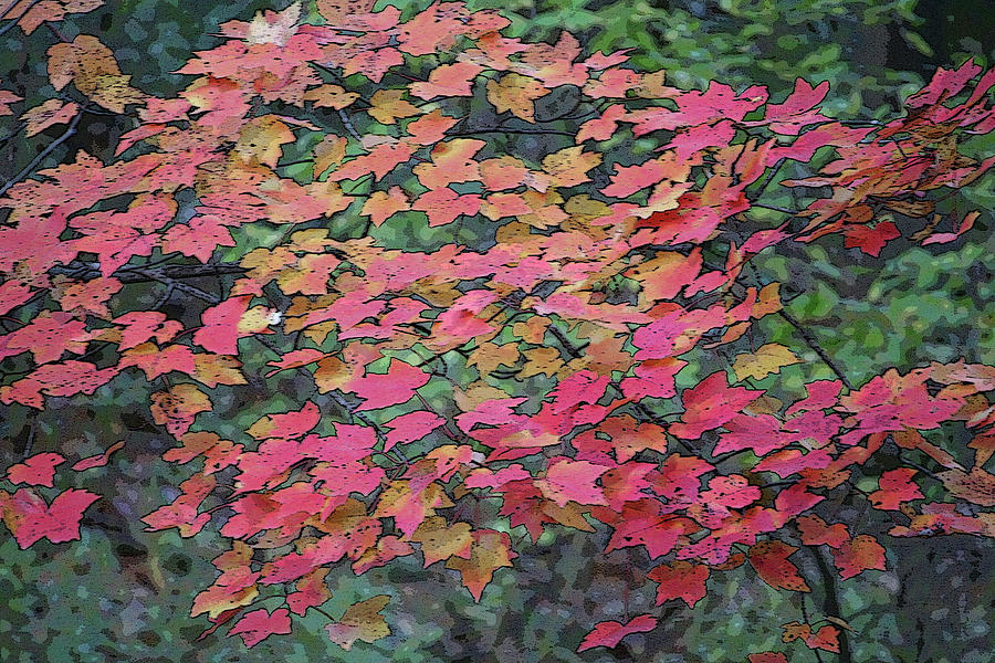 Autumn Leaves - altered Photograph by Aggy Duveen