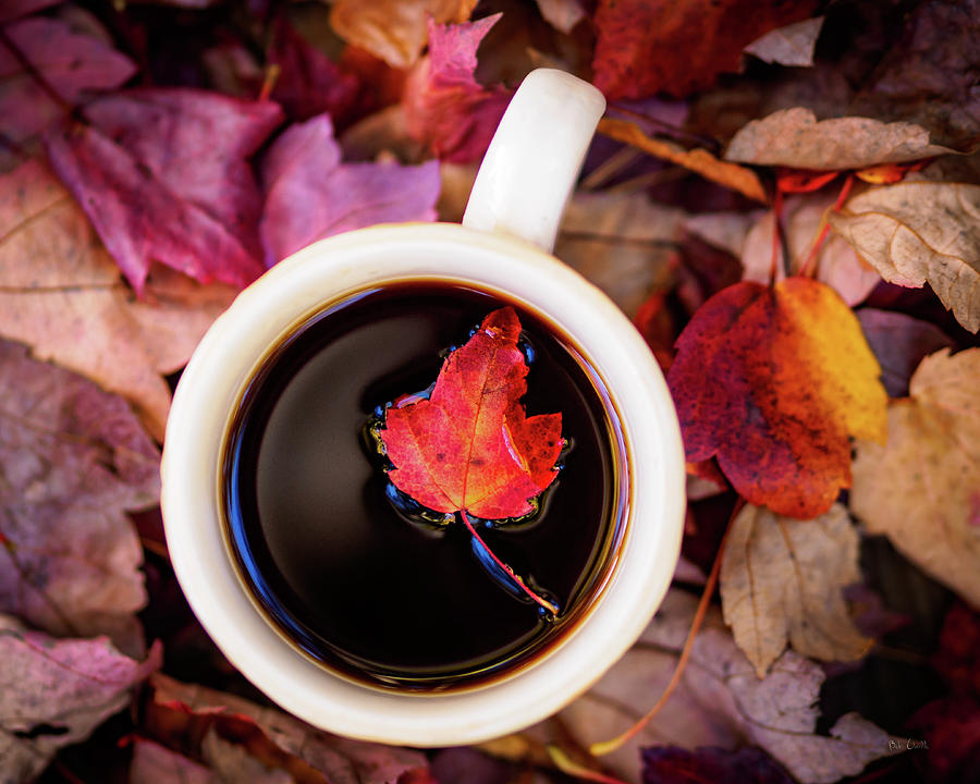 Autumn Leaves and Hot Coffee Photograph by Bob Orsillo