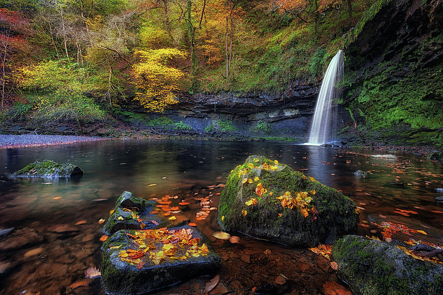 Waterfall Photograph - Autumn leaves at Sgwd Gwladus by Leighton Collins
